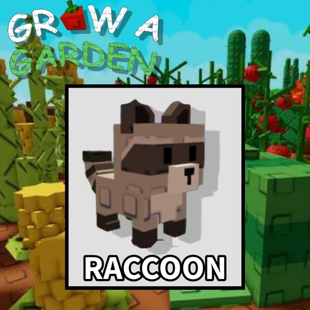 Raccoon